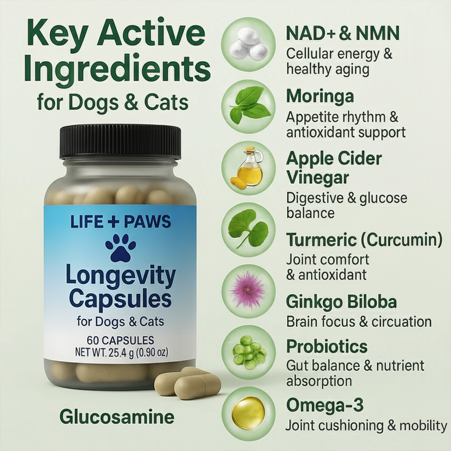 𝐋𝐈𝐅𝐄+ 𝐏𝐀𝐖𝐒®𝐏𝐄𝐓｜𝐏𝐄𝐓 𝐋𝐈𝐅𝐄𝐒𝐏𝐀𝐍 ×𝟐 / ×𝟑（𝐄𝐱𝐭𝐞𝐧𝐝 𝐩𝐞𝐭 𝐥𝐢𝐟𝐞𝐬𝐩𝐚𝐧 𝐛𝐲 𝟓 𝐭𝐨 𝟏𝟎 𝐲𝐞𝐚𝐫𝐬）